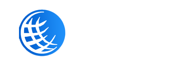 UDM CONSULTING GROUP